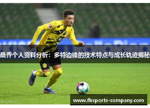 桑乔个人资料分析：多特边锋的技术特点与成长轨迹揭秘