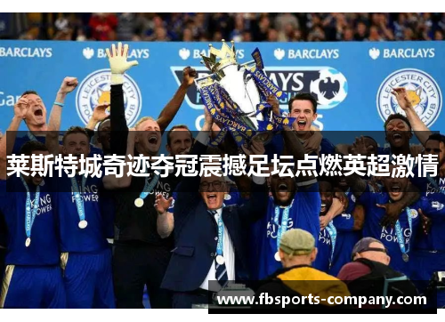 莱斯特城奇迹夺冠震撼足坛点燃英超激情